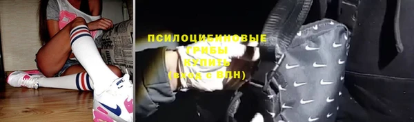 амф Алексеевка