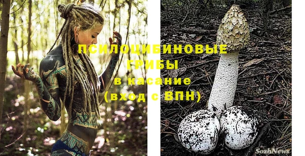 прущие крисы Армянск