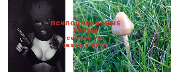 дмт Алексин