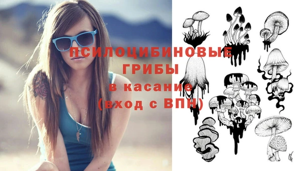 амф Алексеевка