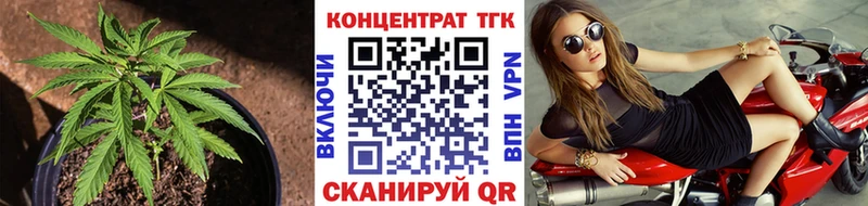 закладка  Кыштым  ТГК Wax 