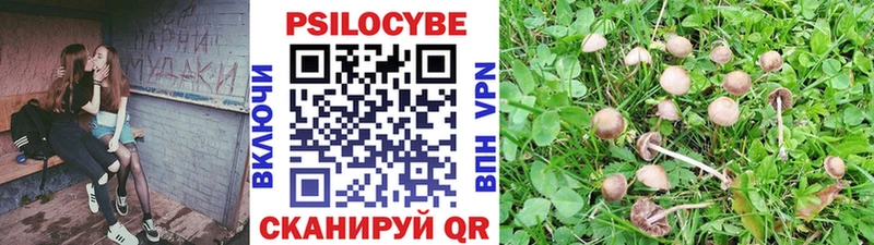 Псилоцибиновые грибы прущие грибы  Кыштым 