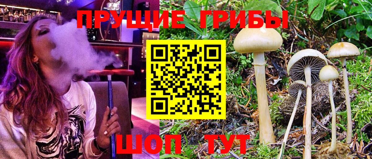 МЕФ кристаллы  ГАШ  Вход с VPN  Кыштым  Кокаин  МЕФ  Канабис 
