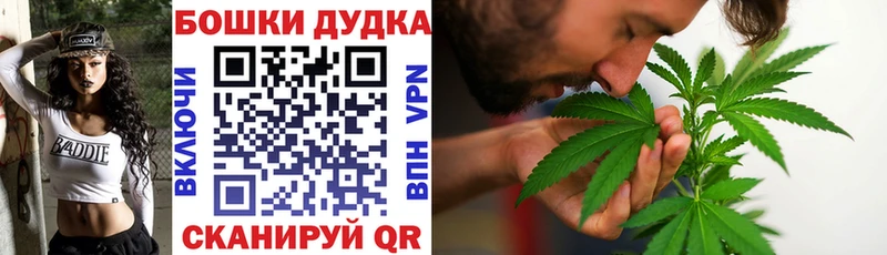 Канабис конопля Кыштым